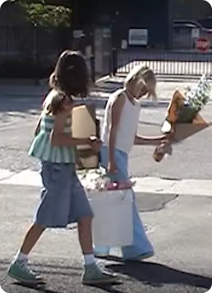 The Lilo & Stitch Collection